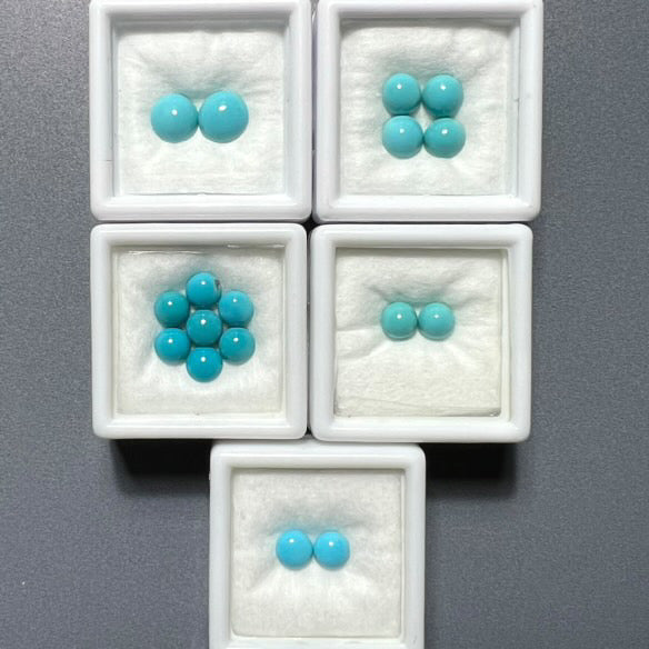 Final payment for turquoise earrings - Elizabeth only